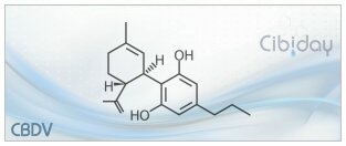 CBDV Cannabidivarin Info